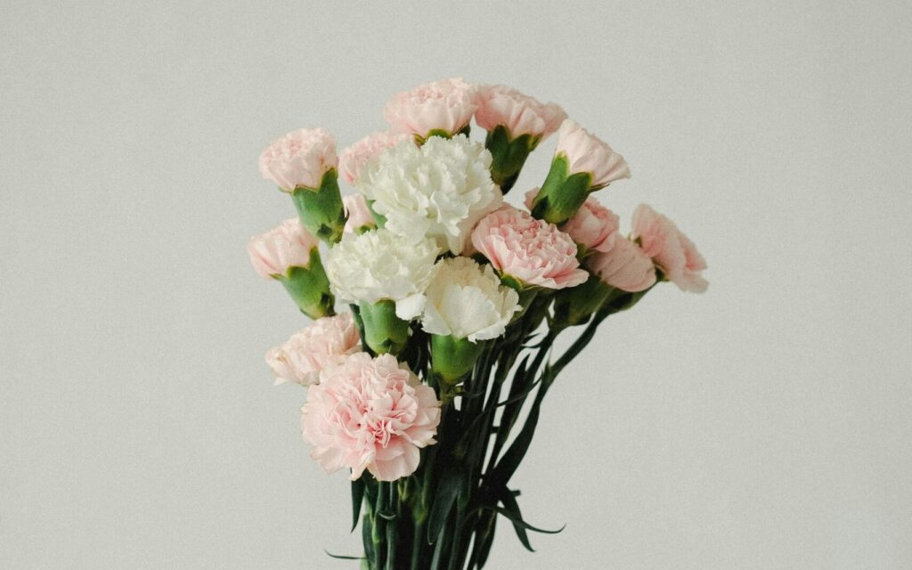 claveles blancos y rosas, otra opción, esta vez más barata, de decorar un altar o la entrada a la Iglesia