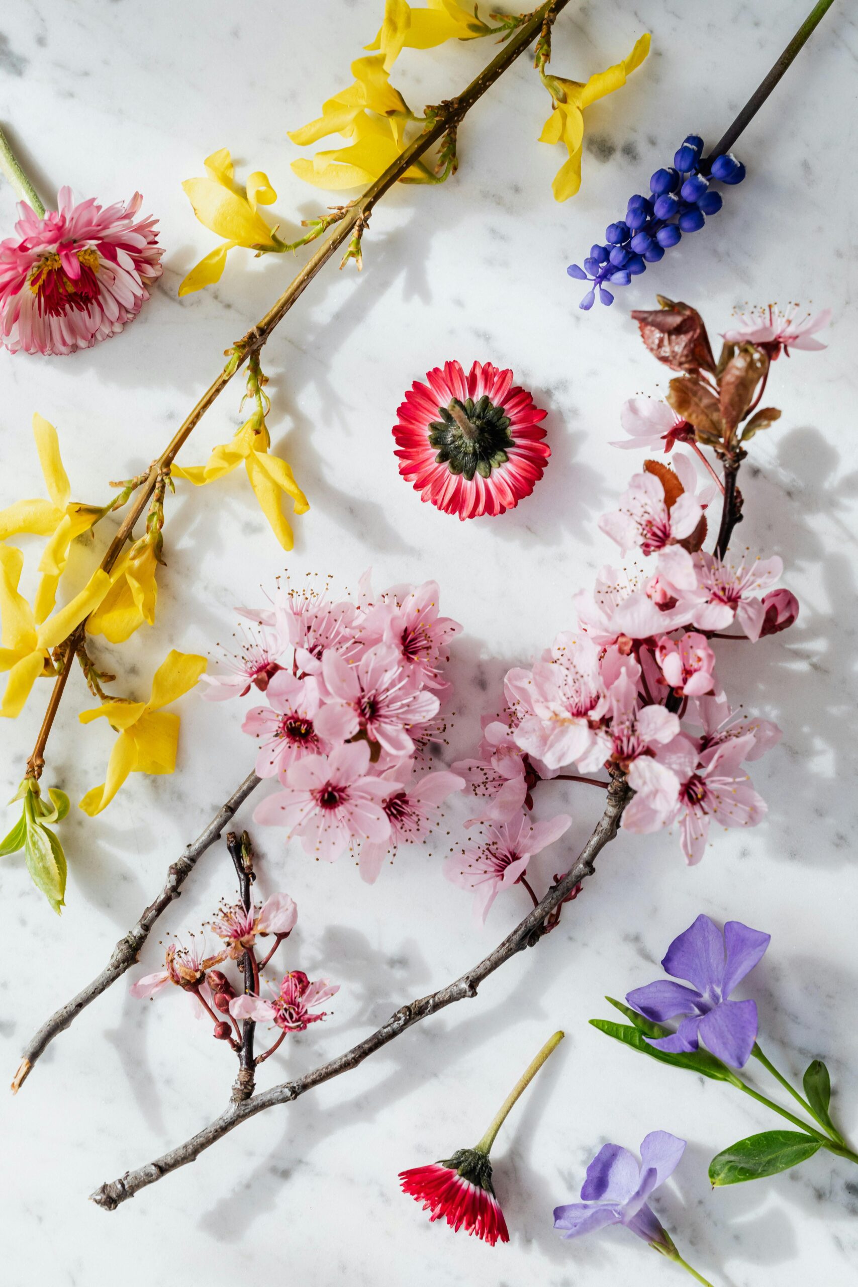 galería de flores 