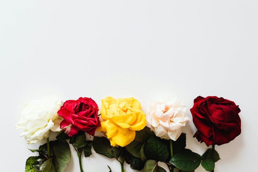 rosas rojas, blancas y amarillas, la elección más común para decorar una boda por la Iglesia