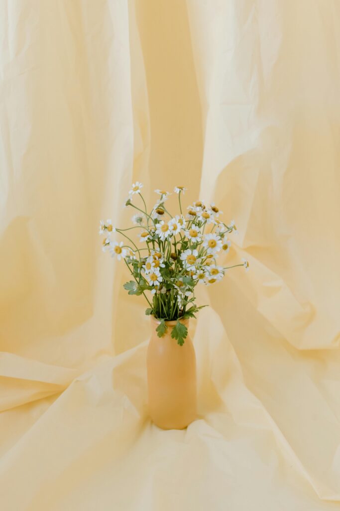 ejemplos de flores economicas, margaritas, crisantemos y paniculata, decoración flores iglesia