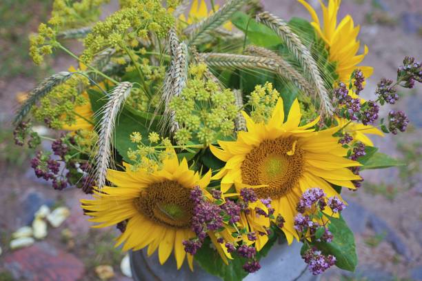 Girasoles con trigo y follaje