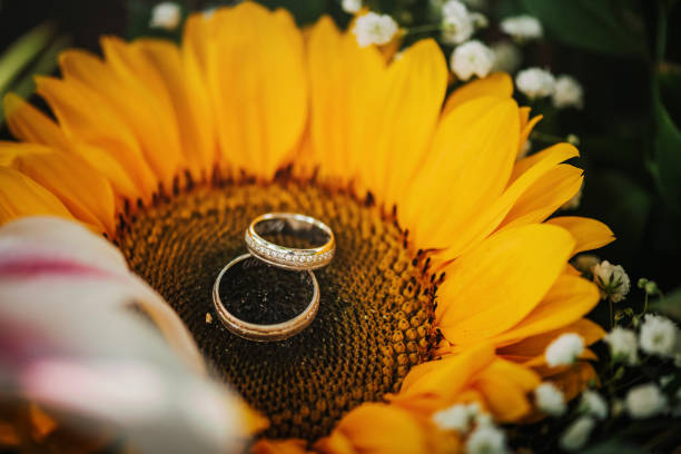 girasol con dos anillos de compromiso para una boda, tendencia en bodas, decoracion boda, flores para boda, 