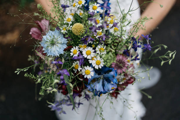 ramo de flores silvestre con flores de diferentes colores, margaritas, flores azules