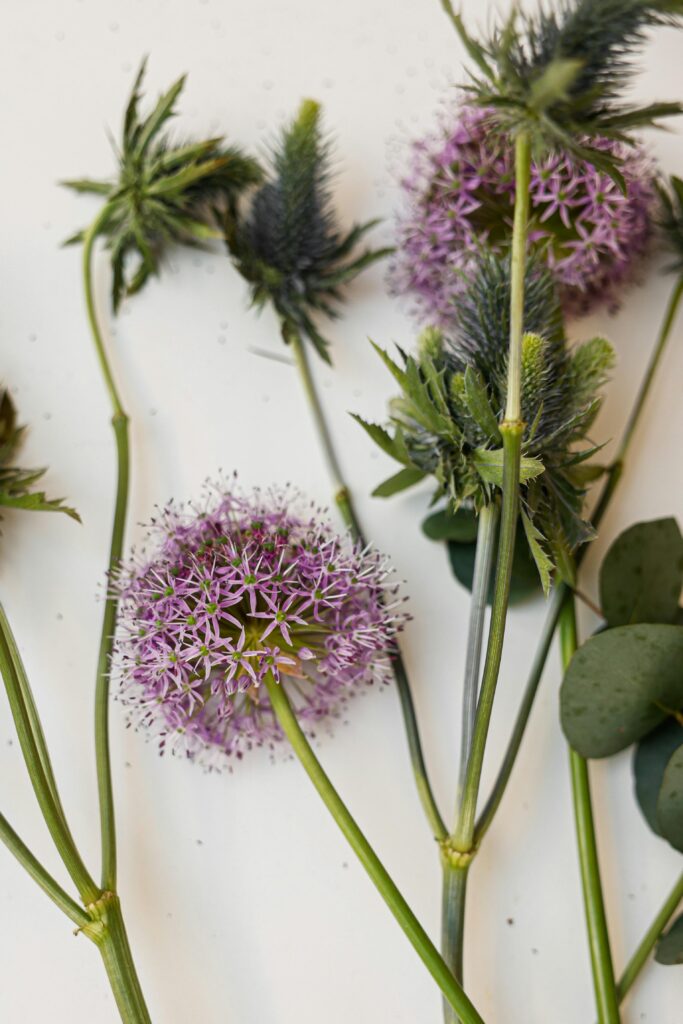 crea un ramo de novia silvestre 
con cardos silvestres morados. Flores de campo