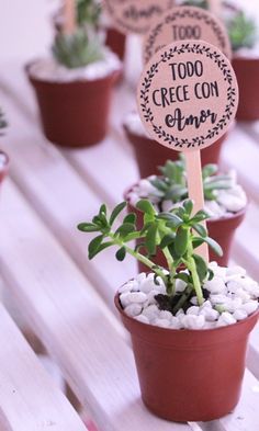 regalos para boda, decoración boda, decoración lowcost, boda maría pombo, luces para boda, detalles para boda, regalos para boda, regalo maría pombo, documental maría pombo, regalo hecho a mano